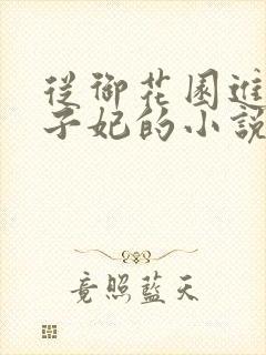 从御花园进入太子妃的小说