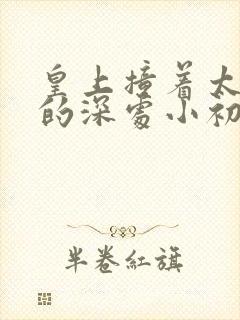 皇上撞着太子妃的深处小初