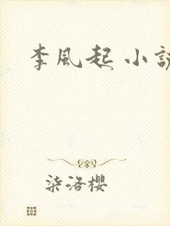 李风起 小说