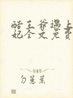 酷王爷遇上穿越妃全文免费阅读