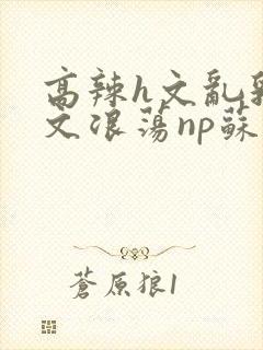 高辣h文乱乳h文浪荡np苏夏