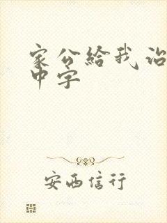 家公给我治疗5中字