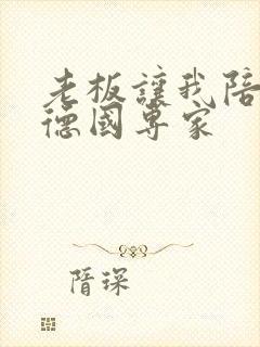 老板让我陪两个德国专家