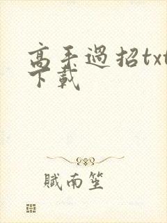 高手过招txt下载