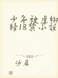 少年被虐绑着榨精18禁小说
