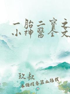 一胎二宝之弃妃小神医全文免费阅读