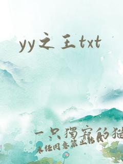 yy之王txt