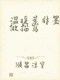 温暖叶非墨车内做描写