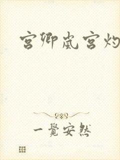 宫卿岚宫灼小说