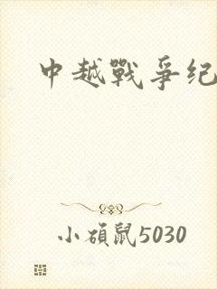 中越战争纪实录