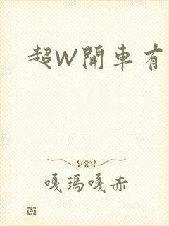 超W开车有过程