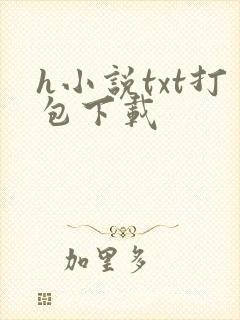 h小说txt打包下载