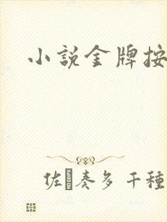 小说金牌按摩师