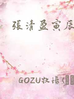 张清盈寅辰小说