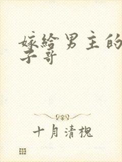 嫁给男主的病秧子哥