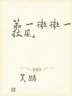 第一微微一笑很拉风