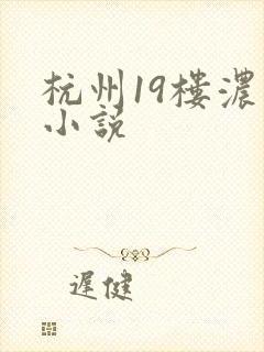 杭州19楼浓情小说
