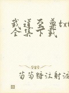 武道至尊txt全集下载