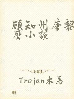 顾知州唐黎叫什么小说