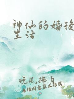 神仙的婚后都市生活