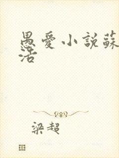 愚爱小说苏倩孙浩