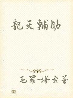 龙天辅助