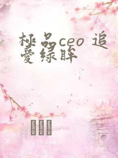极品ceo 追爱绿眸