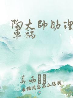 陶大帅助理子豪车祸