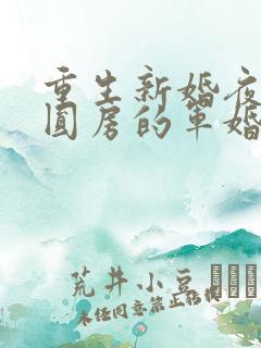 重生新婚夜正在圆房的军婚