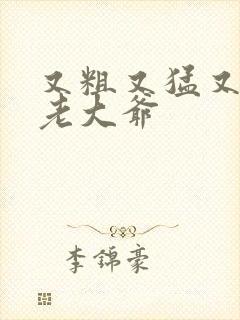 又粗又猛又大爽老大爷