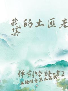 我的土匪老婆全集