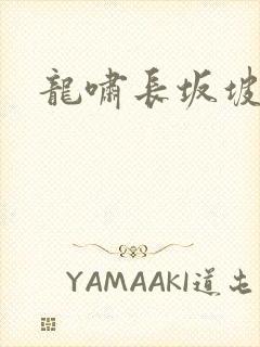 龙啸长坂坡