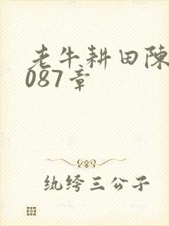 老牛耕田陈雪1087章