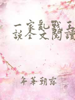 一家乱战王芳小说全文阅读