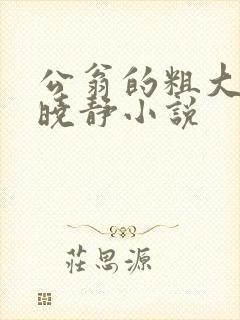 公翁的粗大放进晓静小说