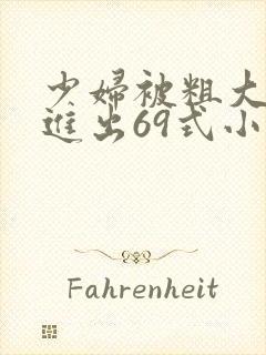 少妇被粗大猛烈进出69式小说