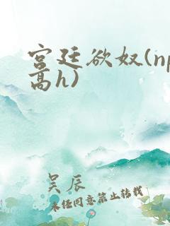 宫廷欲奴(np高h)