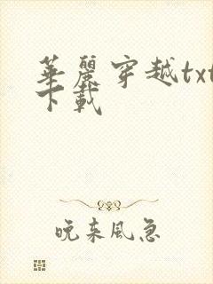 华丽穿越txt下载