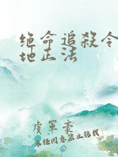 绝命追杀令2就地正法