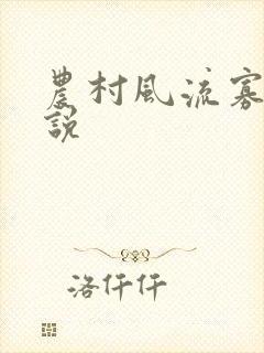 农村风流寡妇小说