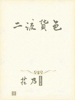 二流货色