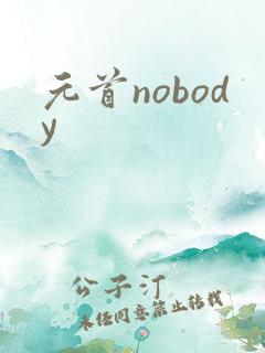 元首nobody