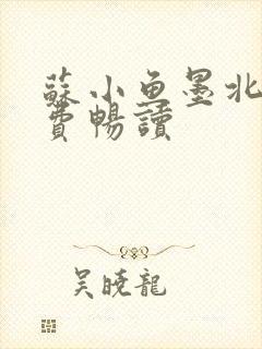 苏小鱼墨北枭免费畅读