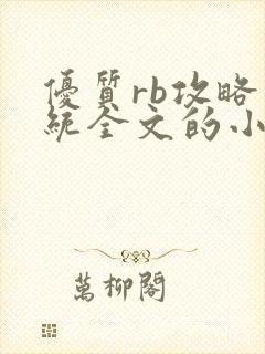 优质rb攻略系统全文的小说