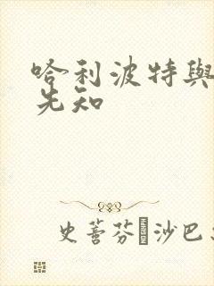 哈利波特与冒牌先知