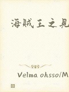 海贼王之见证者