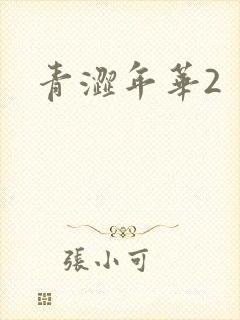 青涩年华2