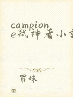 campione弑神者小说