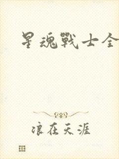 星魂战士全集