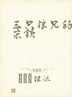 三只狼兄的宠妻宋钦